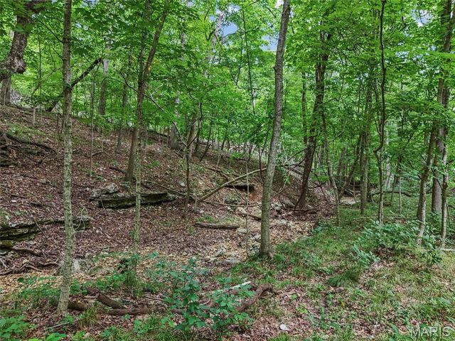 0 Upper Moss Hollow, Barnhart, MO 63012