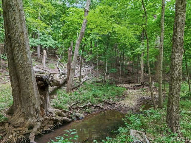 0 Upper Moss Hollow, Barnhart, MO 63012