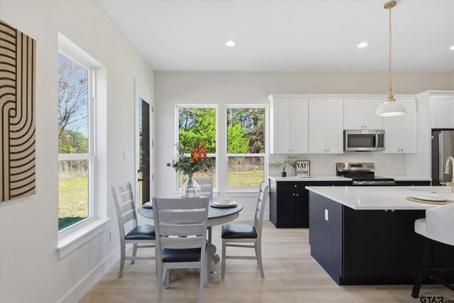 21010 FM 1805, Van, TX 75790