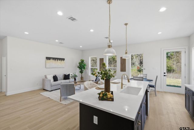 21010 FM 1805, Van, TX 75790