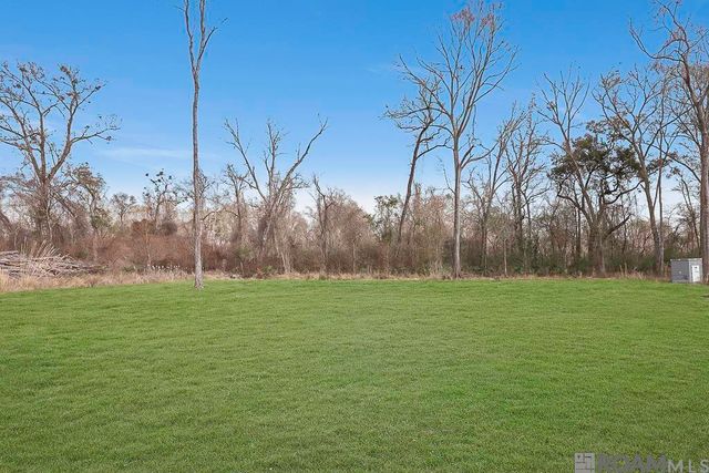 38384 N Robert Wilson Rd, Gonzales, LA 70737