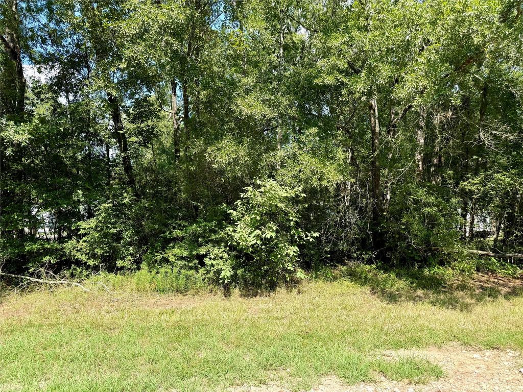 TBD Deerfield, Livingston, TX 77351