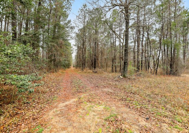 0 Santee River Road, Saint Stephen, SC 29479