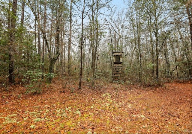 0 Santee River Road, Saint Stephen, SC 29479