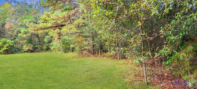 36793-B Cryer Rd, Denham Springs, LA 70706