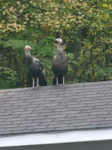 526 E River Rd, Mahoning Twp, PA 16116