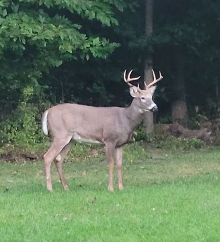 526 E River Rd, Mahoning Twp, PA 16116