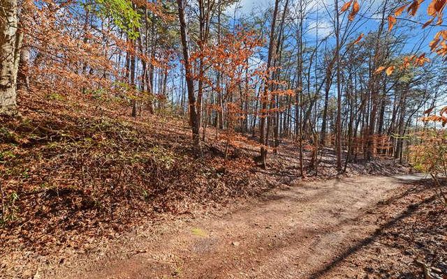 6587 Rufus Bryant Road, Dahlonega, GA 30533