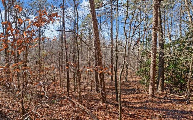 6587 Rufus Bryant Road, Dahlonega, GA 30533