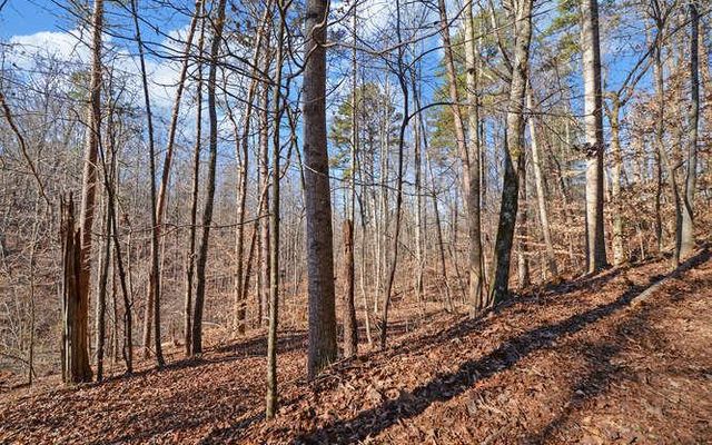 6587 Rufus Bryant Road, Dahlonega, GA 30533