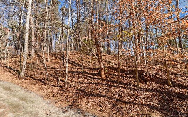 6587 Rufus Bryant Road, Dahlonega, GA 30533