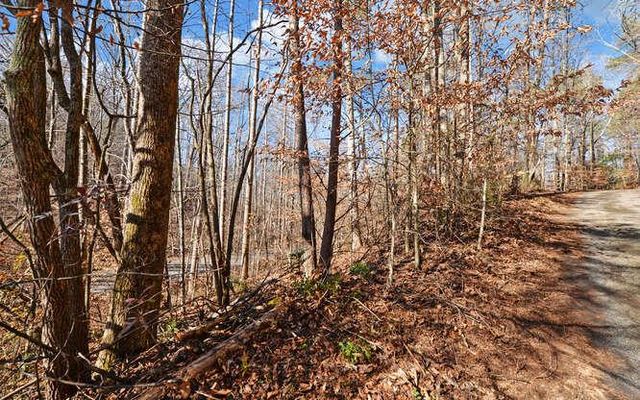 6587 Rufus Bryant Road, Dahlonega, GA 30533