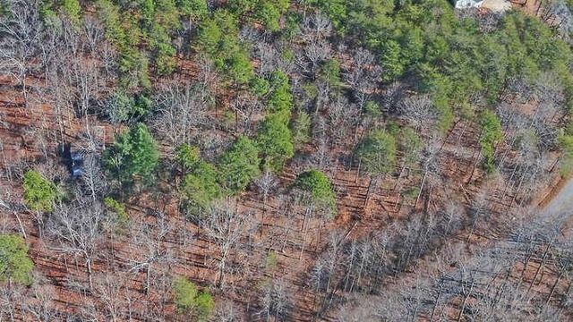 6587 Rufus Bryant Road, Dahlonega, GA 30533