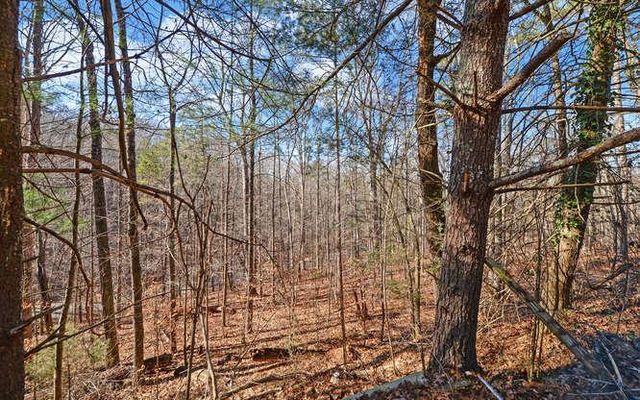 6587 Rufus Bryant Road, Dahlonega, GA 30533