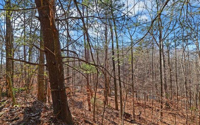 6587 Rufus Bryant Road, Dahlonega, GA 30533