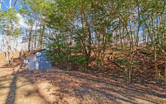 6587 Rufus Bryant Road, Dahlonega, GA 30533