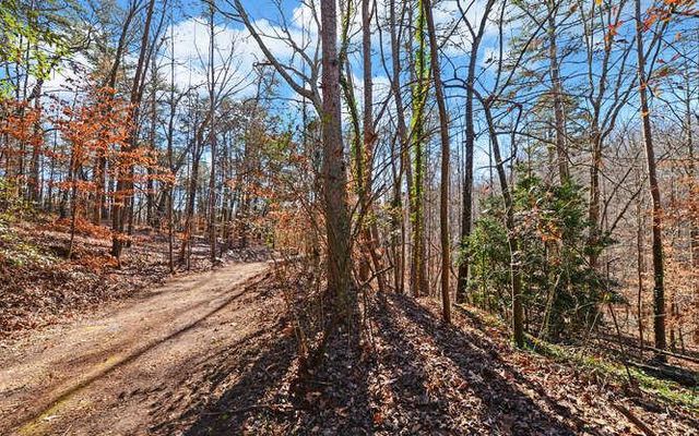 6587 Rufus Bryant Road, Dahlonega, GA 30533