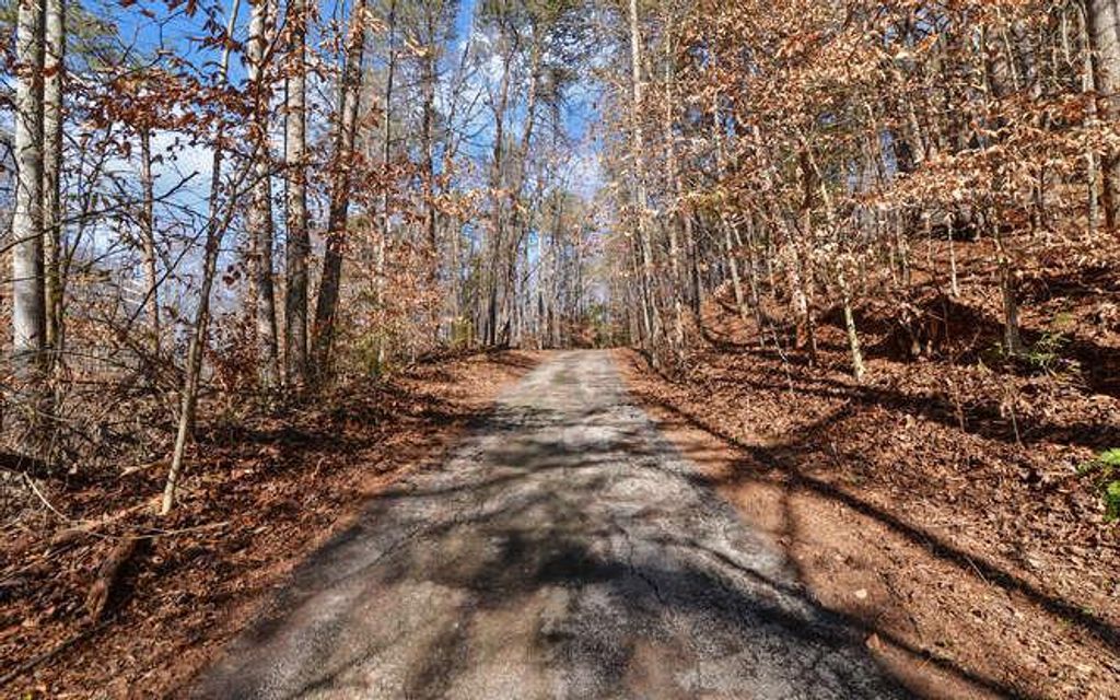 6587 Rufus Bryant Road, Dahlonega, GA 30533