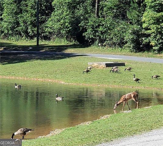 1058 Mayfield Lane, Ranger, GA 30734