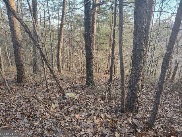 1058 Mayfield Lane, Ranger, GA 30734