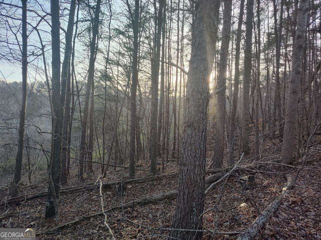 1058 Mayfield Lane, Ranger, GA 30734