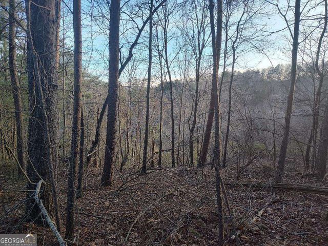 1058 Mayfield Lane, Ranger, GA 30734