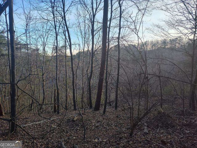 1058 Mayfield Lane, Ranger, GA 30734