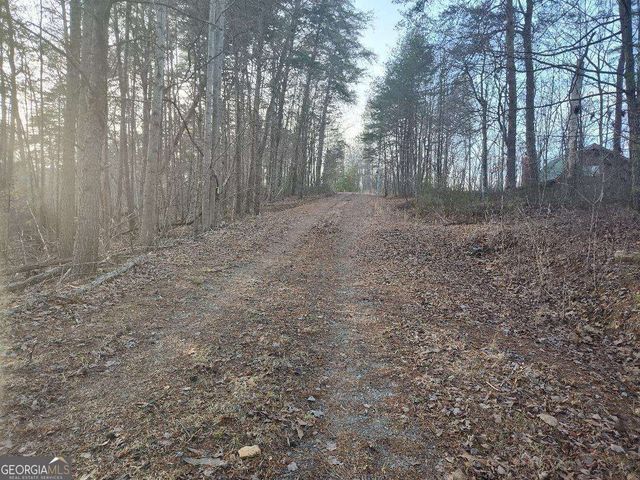 1058 Mayfield Lane, Ranger, GA 30734