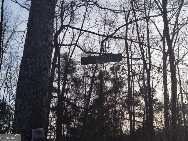 1058 Mayfield Lane, Ranger, GA 30734