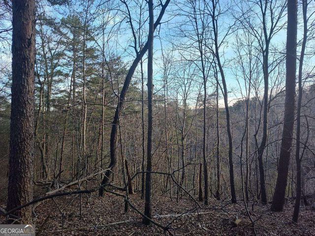 1058 Mayfield Lane, Ranger, GA 30734