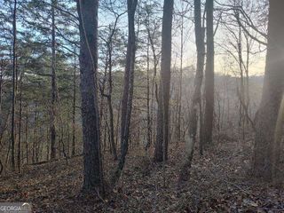 1058 Mayfield Lane, Ranger, GA 30734