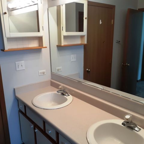 156 CASTLEWOOD Court 156, Roselle, IL 60172