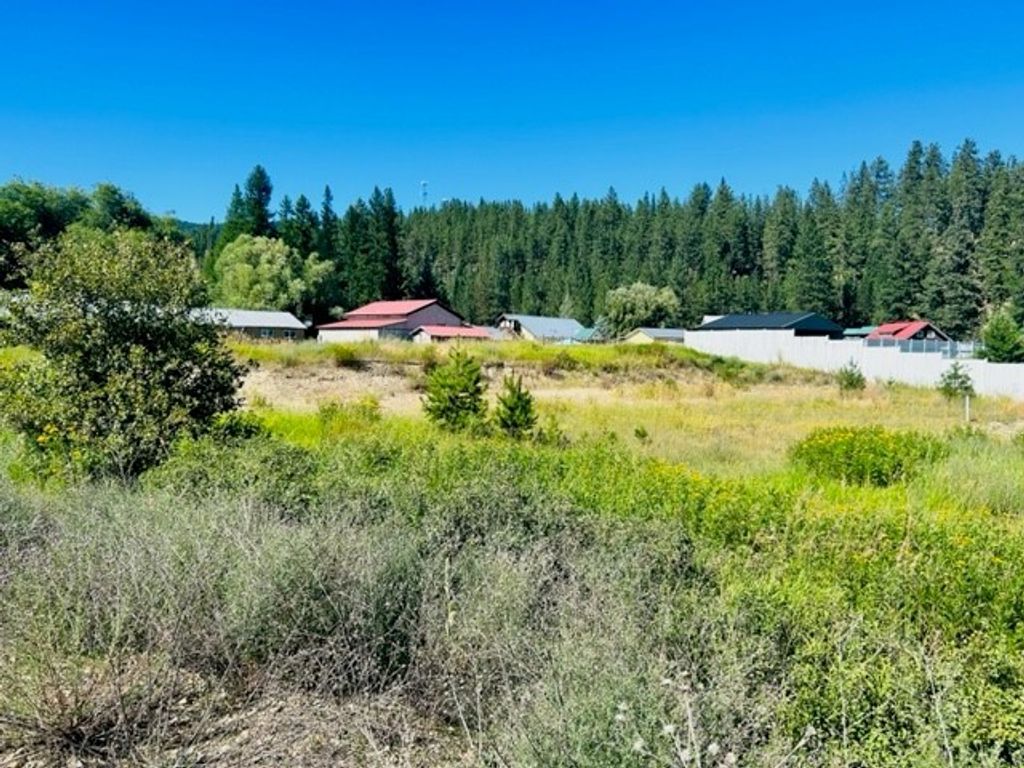 120 Monte Circle Drive, St Regis, MT 59866 photo 4