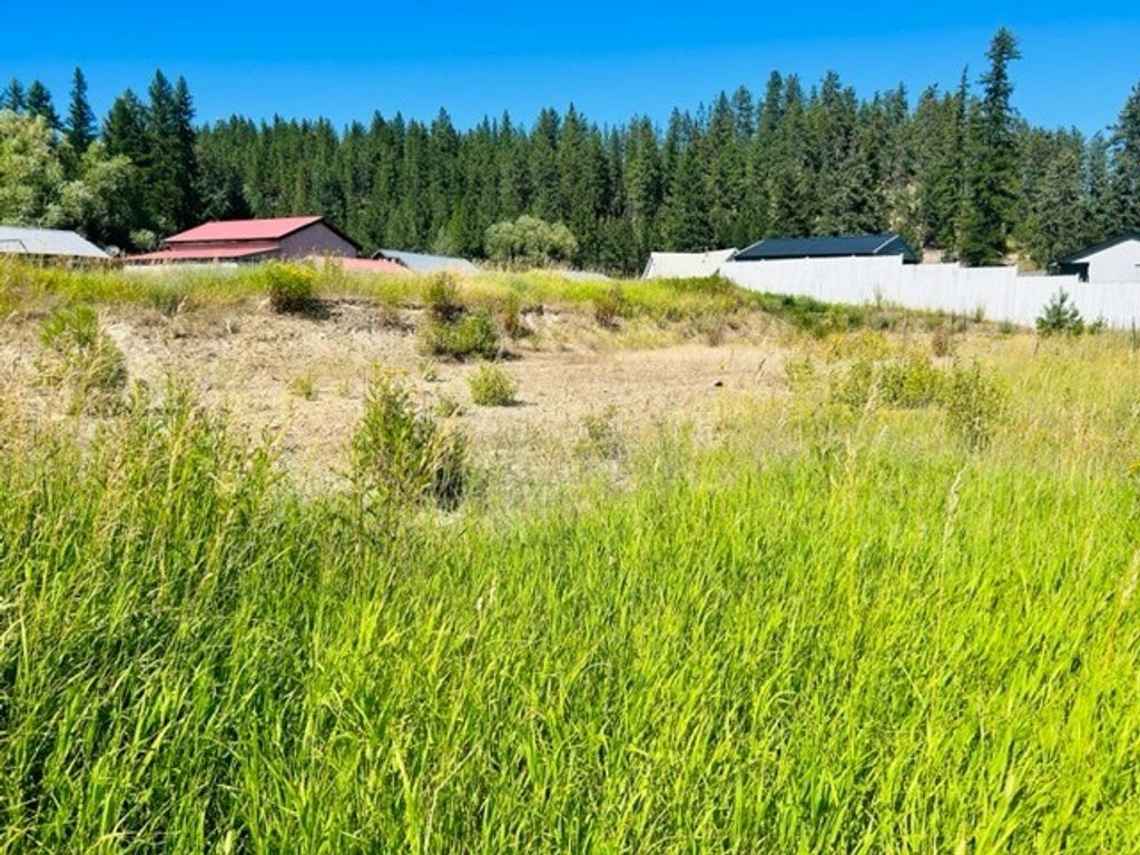 120 Monte Circle Drive, St Regis, MT 59866 photo 6