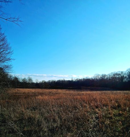 0 Burr Rd, Springfield, TN 37172