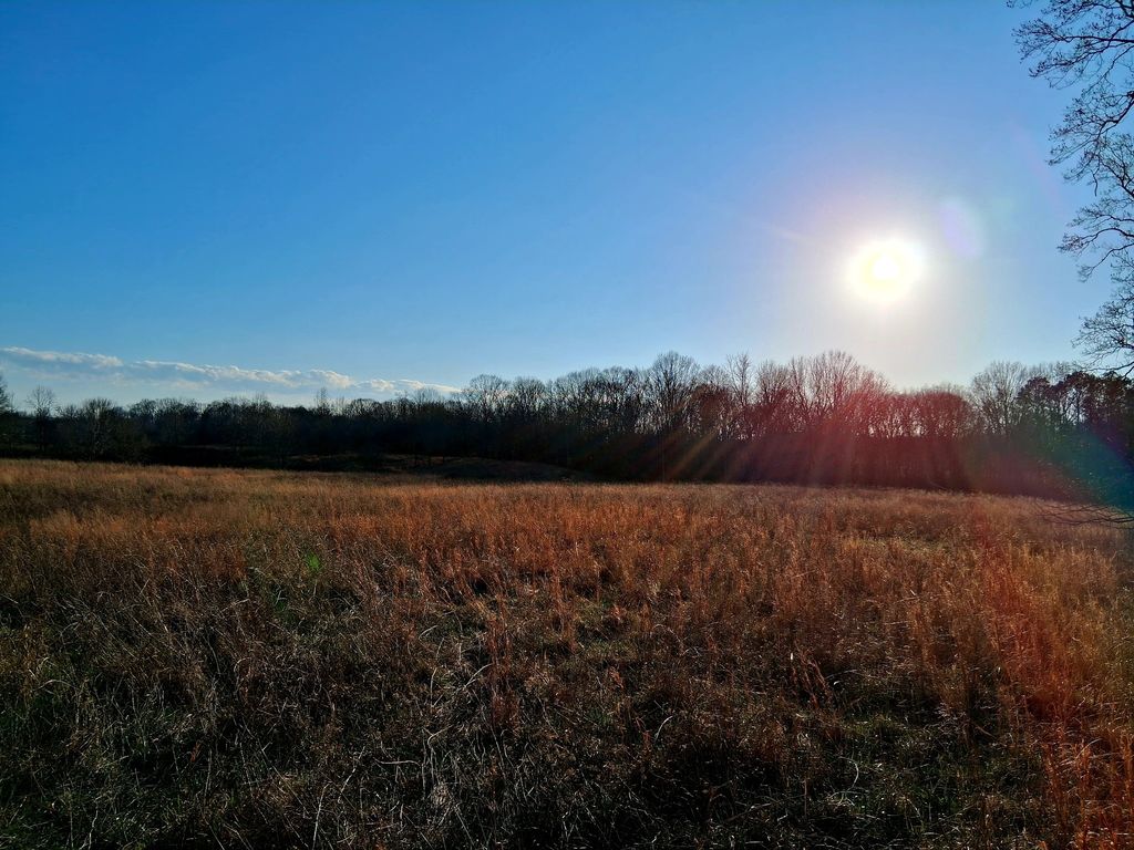 0 Burr Rd, Springfield, TN 37172