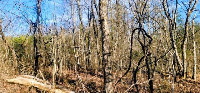 2323 College St, Spencer, TN 38585