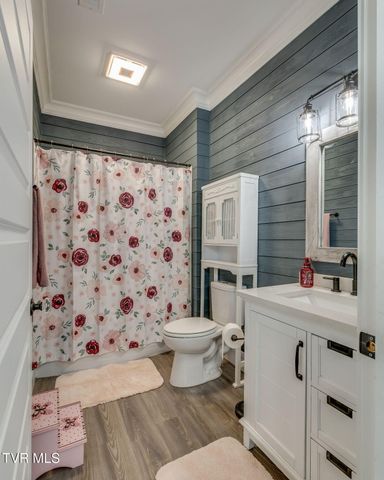 1600 Mary Lamons Road, Afton, TN 37616