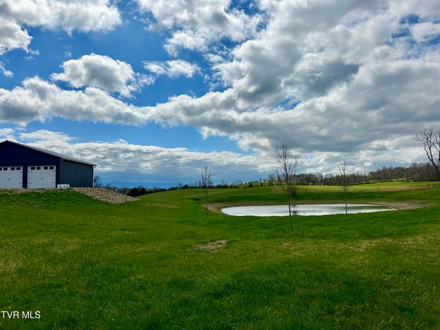 1600 Mary Lamons Road, Afton, TN 37616