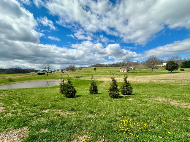 1600 Mary Lamons Road, Afton, TN 37616