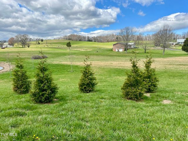 1600 Mary Lamons Road, Afton, TN 37616