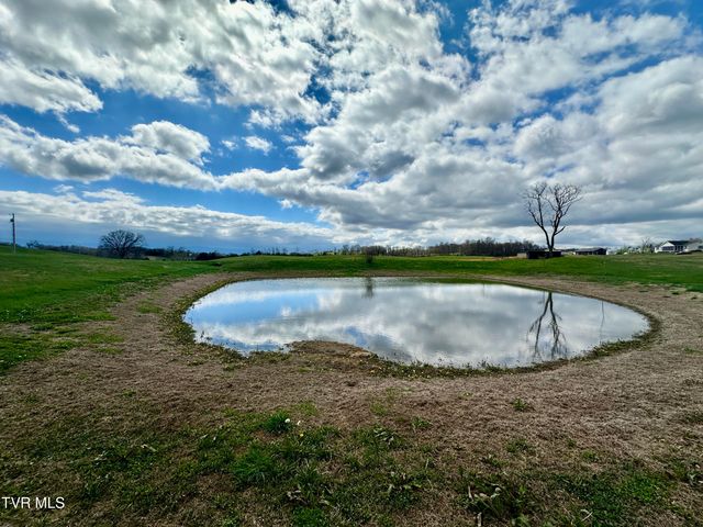 1600 Mary Lamons Road, Afton, TN 37616