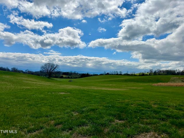 1600 Mary Lamons Road, Afton, TN 37616
