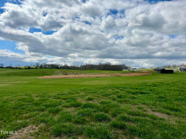 1600 Mary Lamons Road, Afton, TN 37616