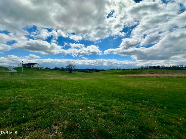 1600 Mary Lamons Road, Afton, TN 37616