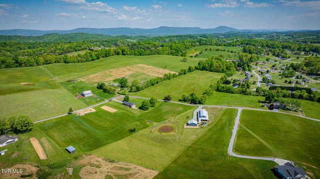 1600 Mary Lamons Road, Afton, TN 37616