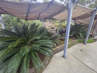 8975 Lawrence Welk Drive 409, Escondido, CA 92026