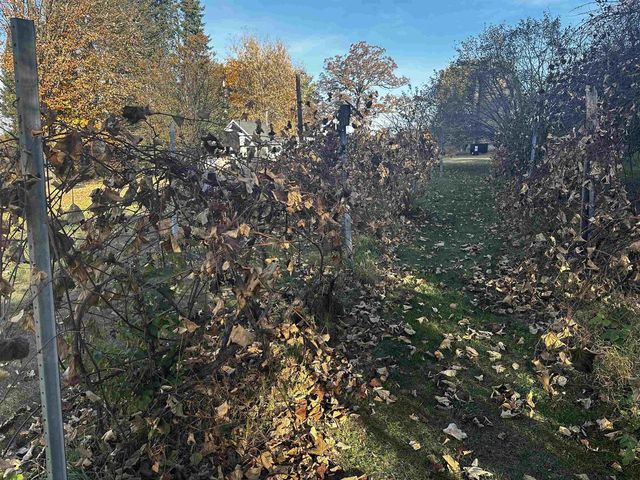 W1712 Deerborn Drive, Neshkoro, WI 54960