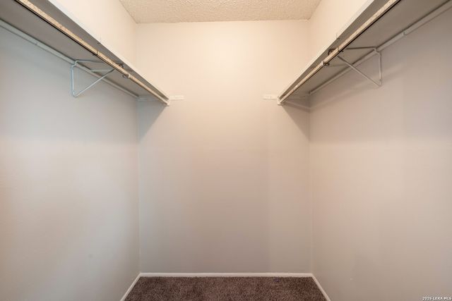 113 Friendswood Path, Universal City, TX 78148