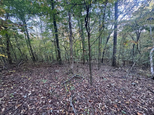 00 Geren Subdivision Lane, Decatur, TN 37322